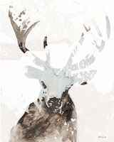 Elk Impression 2 Fine Art Print