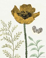 Springtime II Warm Framed Print