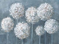 Simple Agapanthus Fine Art Print