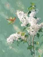 Hummingbird Spring I Framed Print