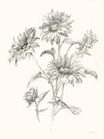 Farm Nostalgia Flowers I Dark Gray Framed Print