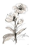 Poppy I Framed Print