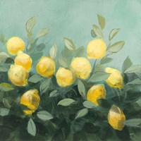 Lemon Grove II Fine Art Print