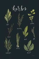 Light Green Herbs I Black Fine Art Print