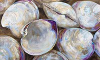 Clambake Cluster Fine Art Print