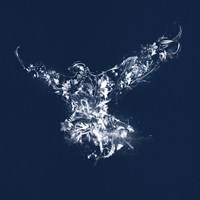 Flying Silhouette Fine Art Print