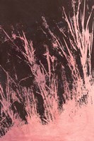 Pure Nature 3 Fine Art Print