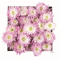 Pretty in Purple II Fine Art Print