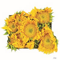 Fall Feels II Fine Art Print