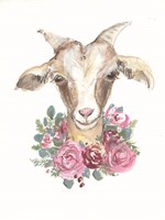 Rosie the Goat Fine Art Print