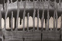 Framework I Fine Art Print