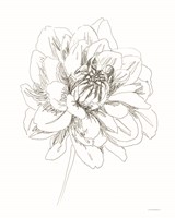 The Center of things Fine Art Print