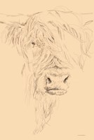 Hairy Sally Fine Art Print
