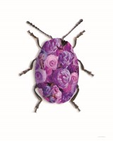 Purple Camo Fine Art Print