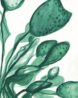 Just a Little More Water Fine Art Print