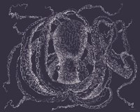 Octo Scribble Fine Art Print