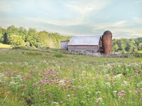 Summer on the Farm Fine Art Print