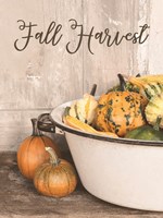 Fall Harvest Fine Art Print