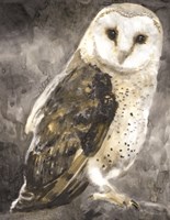 Snowy Owl 2 Framed Print