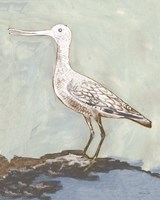 Sea Bird 2 Framed Print