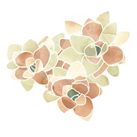 Succulent Cameo VII Fine Art Print