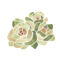 Succulent Cameo XV Fine Art Print