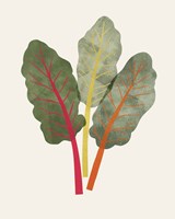 Organic Veg V Fine Art Print