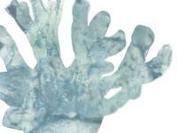 Blue Macro Coral I Framed Print