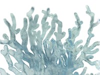 Blue Macro Coral III Framed Print