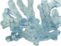 Blue Macro Coral IV Fine Art Print