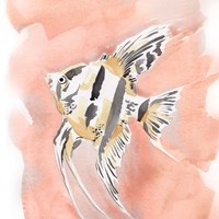 Blush and Ochre Angel Fish II Fine Art Print