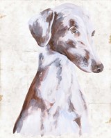 Sitting Dog II Fine Art Print