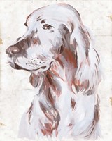 Sitting Dog III Fine Art Print