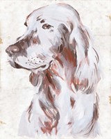 Sitting Dog III Framed Print