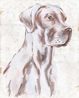 Sitting Dog IV Framed Print