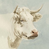 Ferdinand II Fine Art Print