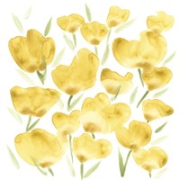 Sunny Meadow II Framed Print