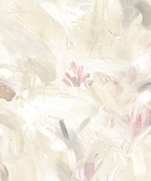 Soft Abstraction II Fine Art Print