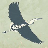 Heron Flying I Framed Print