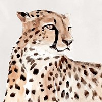 Saharan Cheetah I Framed Print