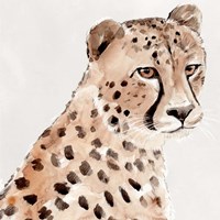 Saharan Cheetah II Fine Art Print