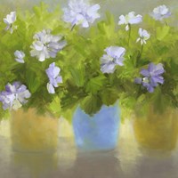 Geraniums IV Fine Art Print