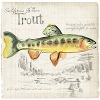 Trout Journal IV Framed Print