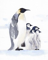 Emperor Penguins I Framed Print