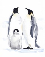 Emperor Penguins II Fine Art Print