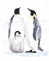Emperor Penguins II Framed Print