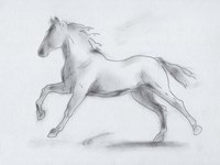 Smoke Stallion II Framed Print