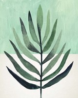 Verging Palm III Framed Print