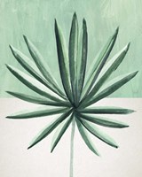 Verging Palm IV Framed Print