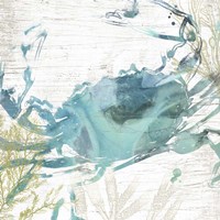 Jeweled Crustacean II Fine Art Print